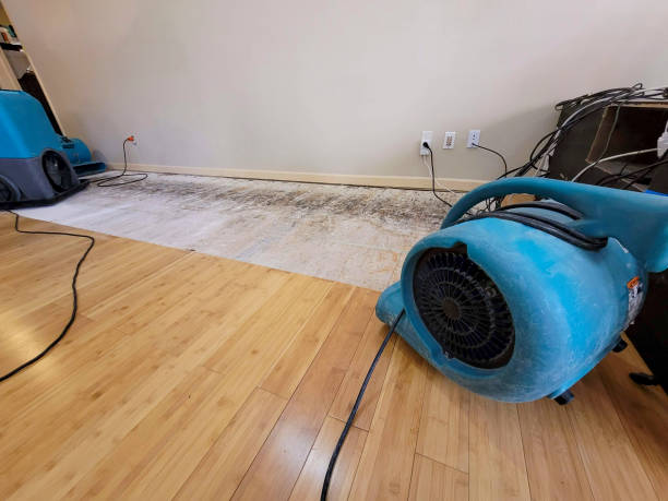 Professional Water Damage Repair technician working in Ware Shoals, SC